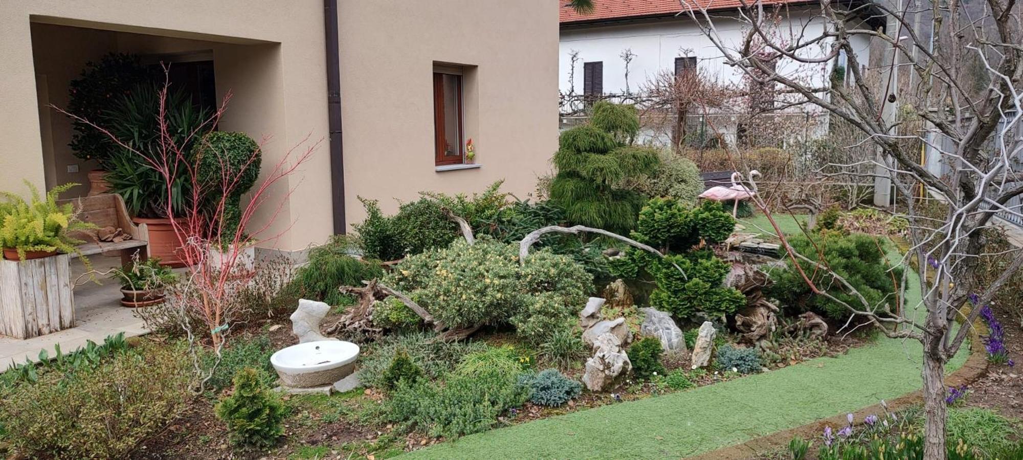 B&B Vegan La Mucca Felice - Grazioso Appartamento Nel Verde Rancio Valcuvia Εξωτερικό φωτογραφία