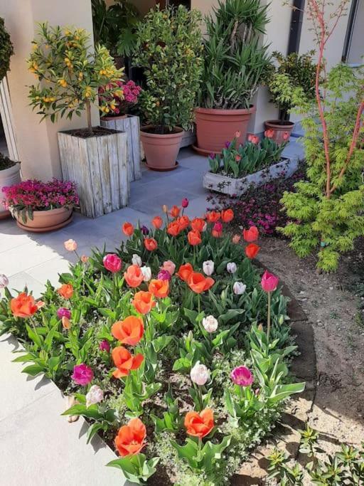 B&B Vegan La Mucca Felice - Grazioso Appartamento Nel Verde Rancio Valcuvia Εξωτερικό φωτογραφία